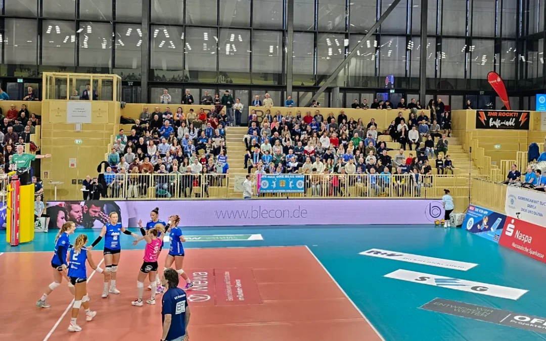 Ein Jahr des Wachstums, der Innovation und des Teamgeistes